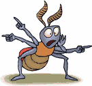 bug.gif