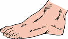 foot_1.gif