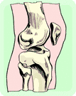 knee.gif
