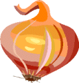 onion.gif