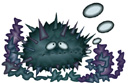 sea_urchin.jpg