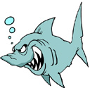 shark.thm.jpg
