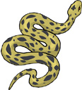 snake.jpg